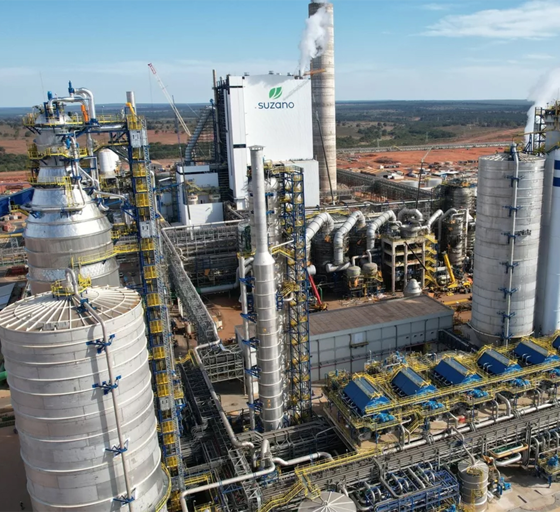 Projeto Suzano
